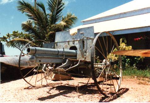 Cannon