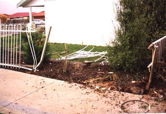 Not only our fence, but the neighbors fence too!