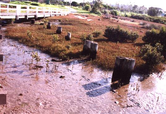 The backwash