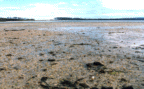 Southport Tasmania.